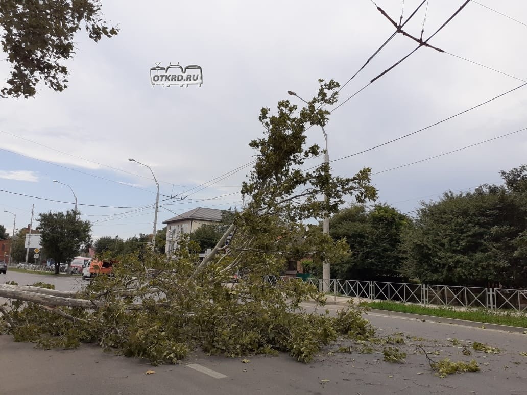 В краснодаре упал